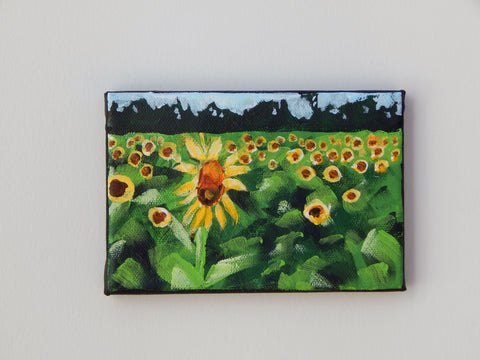 Sunflower Field