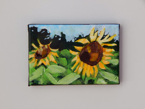 Pair Of Sunflowers