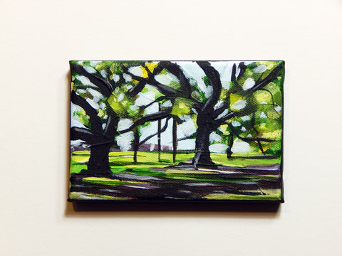 Live Oaks