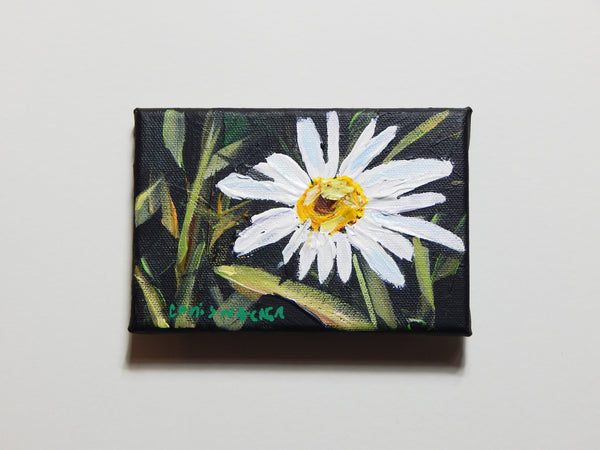 Daisy