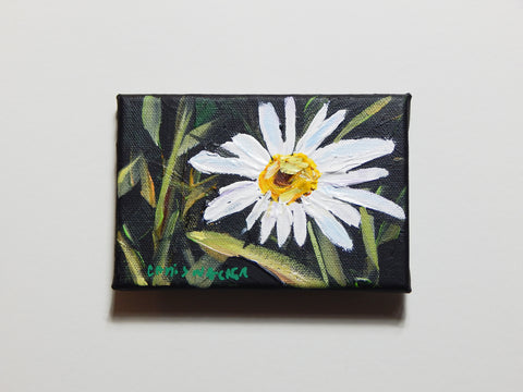 Daisy