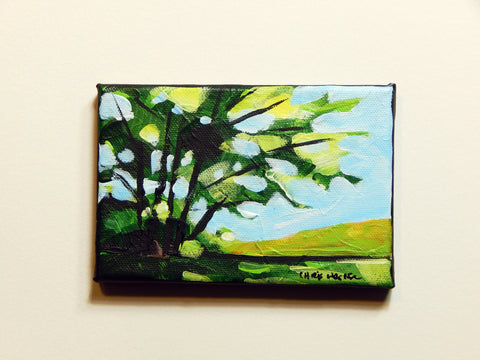 Tree On The Ridge